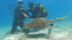 foto-dive_010.jpeg