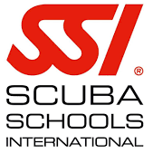 ssi 2